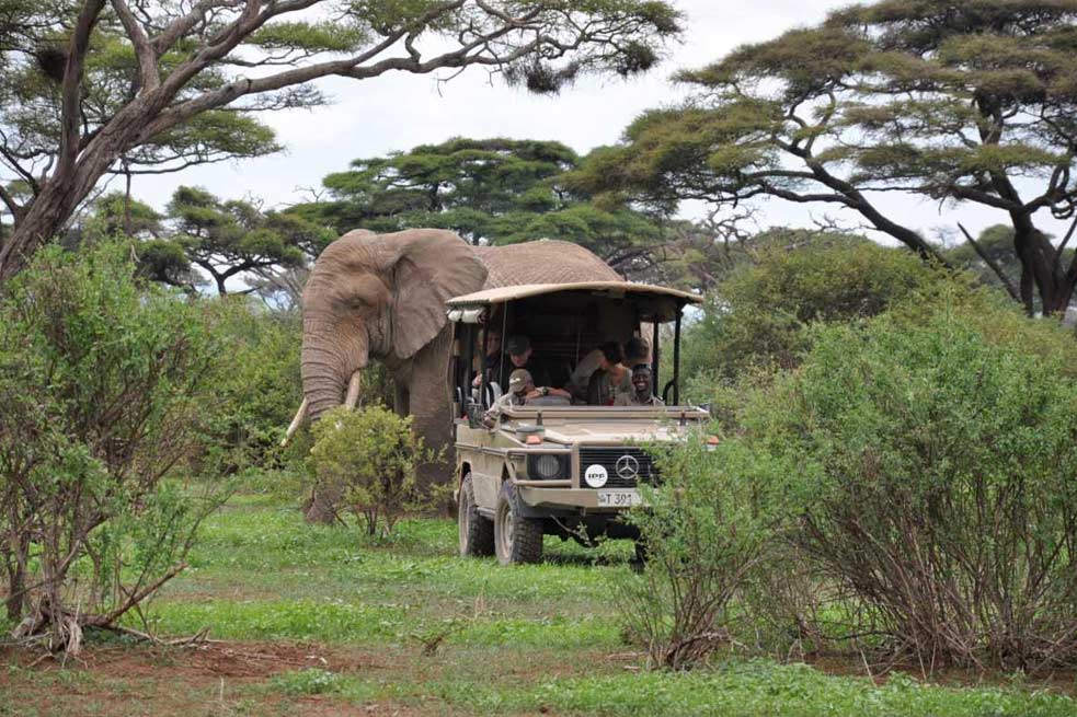 Arusha National Park safari cost